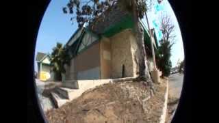Penguin throwaway clips 2011