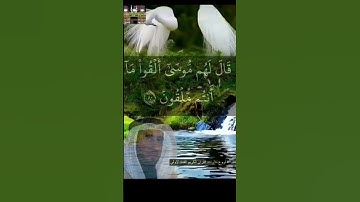 تجويدعراقي 🇮🇶 -نعمة الحسان