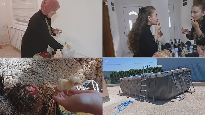 Mama nikad ne miruje:Bazen se puni,pilići se izlegli,a kuča miriše!🏡🐣💕
