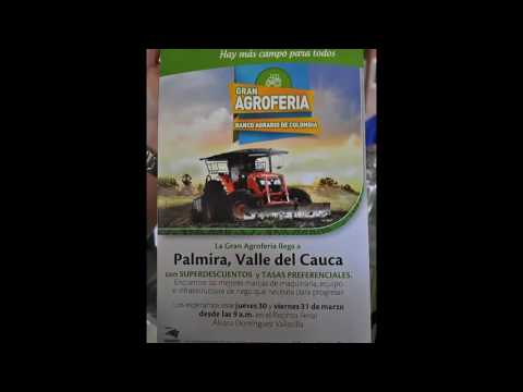 GRAN AGROFERIA EN PALMIRA 30 Y 31 DE MARZO PATROCINA BANCO AGRARIO DE COLOMBIA