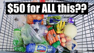 ULTIMATE Budget Grocery Haul 2023 with Frugal Fit Mom | Extreme Grocery Challenge