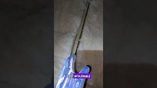 Cette Erreur De Pose Disolant Vous Coûte Très Cher