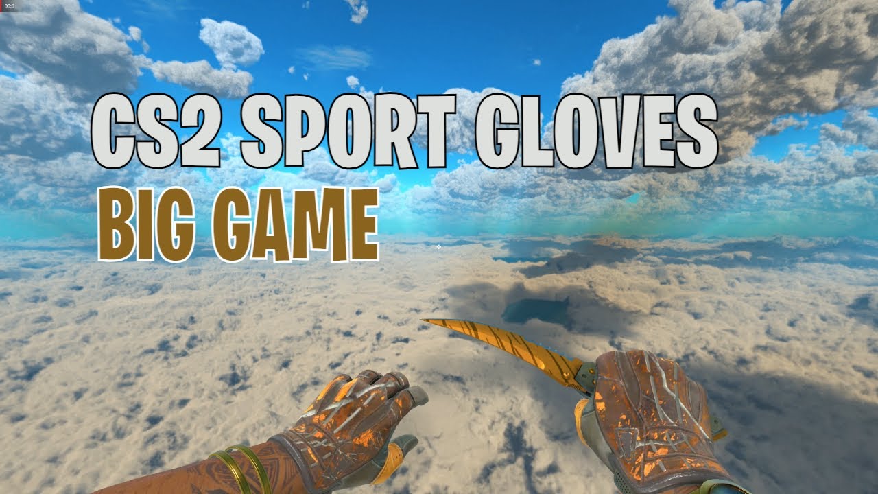 Sport Gloves Big Game WellWorn CS2 Skin Showcase 666 YouTube