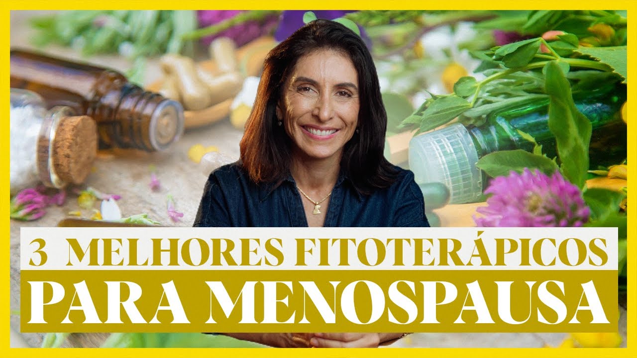 Suplementos naturais para menopausa: os 3 fitoterápicos que mais ...