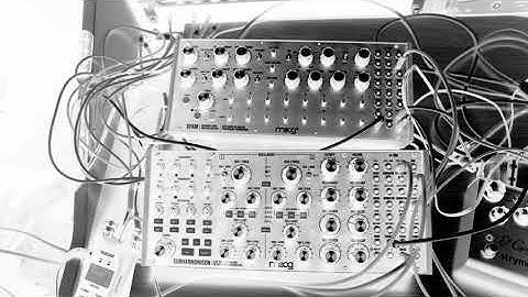 Move any mountain (proto cover) // Moog Subharmonicon DFAM Grandmother