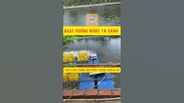 Quạt guồng nước 10 cánh tạo oxy cho cá tôm phù hợp với những ao nào? #dongdopa #dopa #thuysandopa