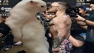 Offensive memes that if ylyl v77