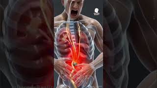 Human Body Inside Explained 🤯 | Amazing Anatomy Facts You Didn't Know!
