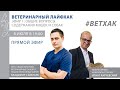 Ветхак #1: Общие вопросы содержания кошек и собак