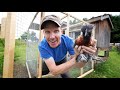 My Funny Homestead Birds Get a New Home! | Log Cabin Trim, Lumber Milling, Swedish Torch Coffee