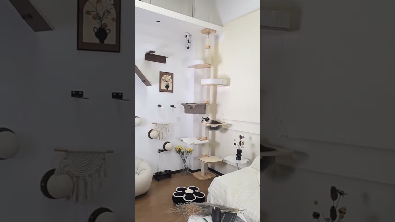 Solid Wood Floor to Ceiling Cat Climbing Tree🍦 