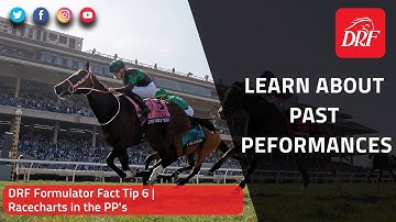 DRF Formulator Tip 6 | Racecharts in the PPs