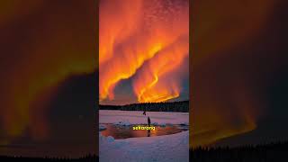 I Hope It Never Happens Again That I Cant Be Separated From My Cellphone