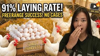 Stop Using Cages: Cage-free Farming is Making More Profit in Year 2026 | Natural Farming Egg Farm 🥚🐔