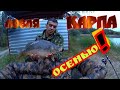 ЛОВЛЯ КАРПА!!! Осенью! Попали в холодную погоду! Экспериментируем насадки!!!