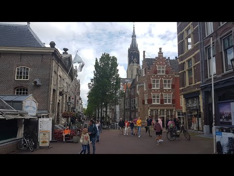 Бейне: Delft фарфоры: сипаттамасы, өндіру технологиясы, тарихы, фотосы
