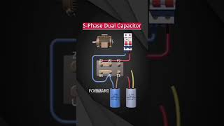 wiring of forward and reverse rotation of single-phase dual-capacitor motor