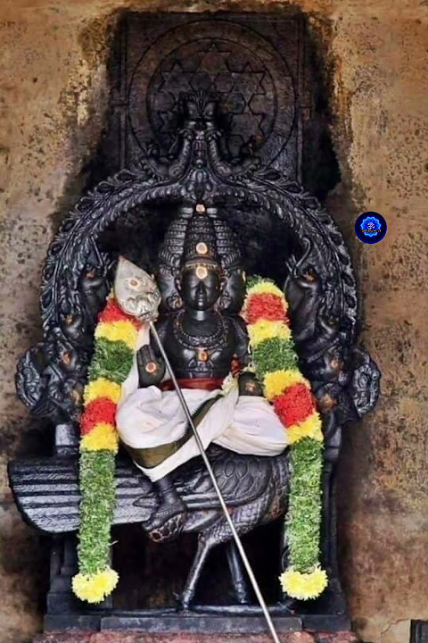 நாளென்ன செய்யும் வினை என்ன செய்யும் நாதமறை வேதியனே🙏💙✨