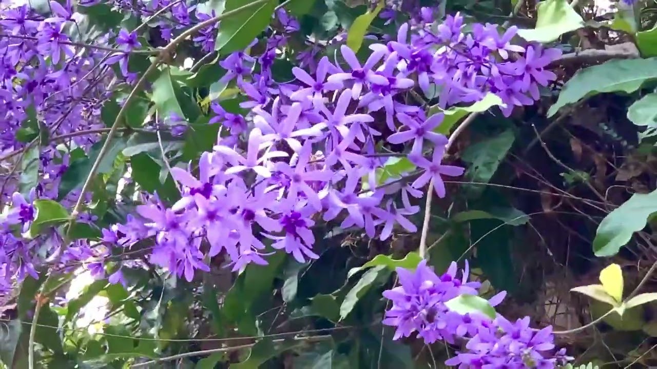 南投埔里台一休閒農場｜￼座擁40000坪花園綠地，感受四季大地風情與變化萬千的自然風貌，環抱在山巒浪漫的悠閒生活，享受晨曦晚景的甯謐美景…