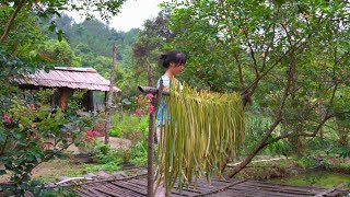 Harvesting taro stems and how to preserve and cook. Take care of the garden. Live with nature