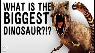 What was the BIGGEST Dinosaur?