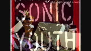 Sonic Youth - Barracuda (Drunken Butterfly inst.)