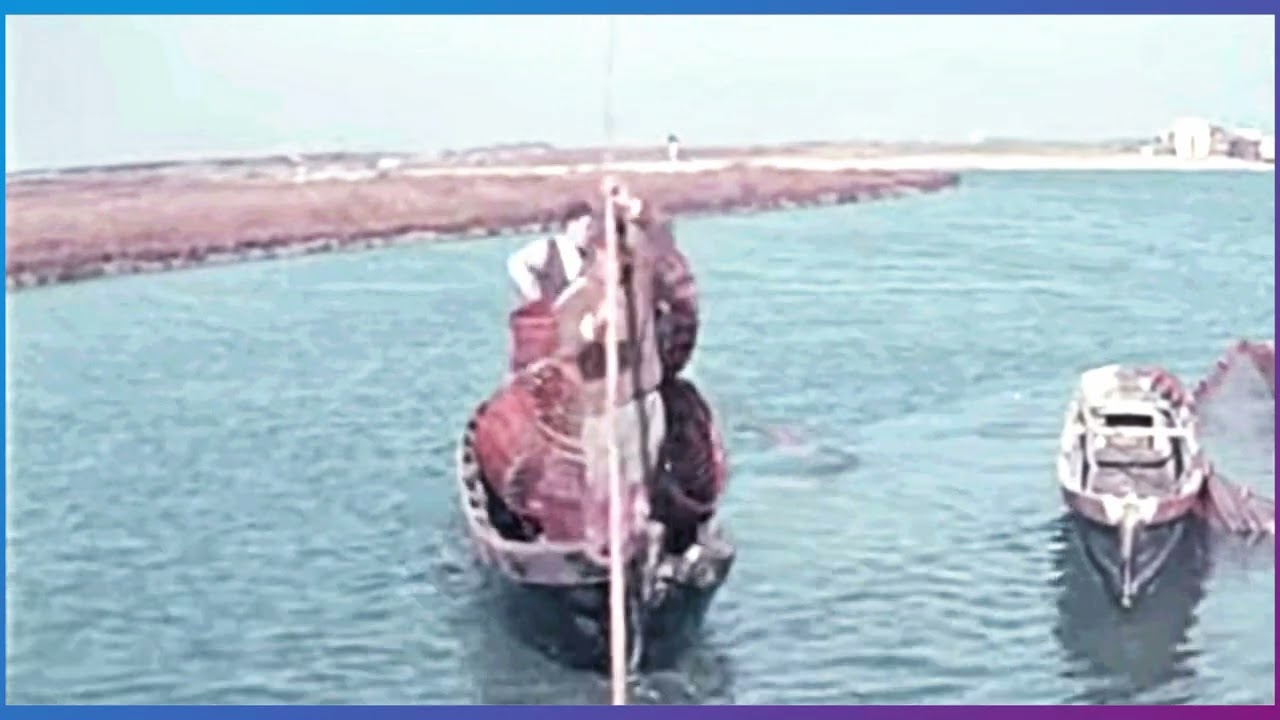 La pesca dell'anguilla a Comacchio negli anni 50