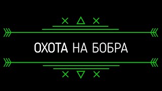 ОХОТА НА БОБРА СЕЗОН ОХОТЫ 2024 МАРТ МЕСЯЦ