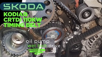 VW AG 2.0TDI 110kW 2021 DTSB timing belt ,electric water pump and oil pump belt replacement.