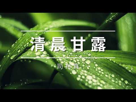 宝宝可以喝「开奶茶」或「七星茶」吗？