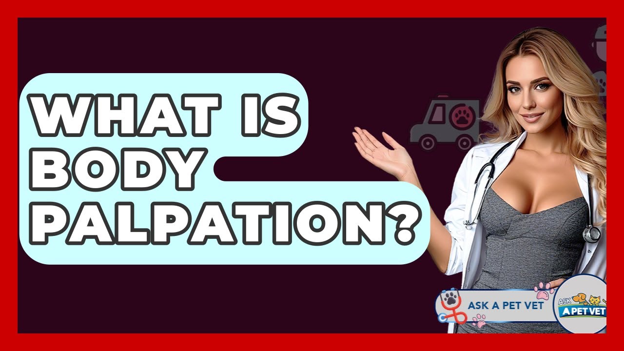 What Is Body Palpation? - Ask A Pet Vet