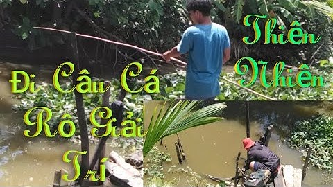 Đi Câu Cá Rô Đồng. Và Cái Kết Thật Đâu Lòng.#40: Tân Xàm TV