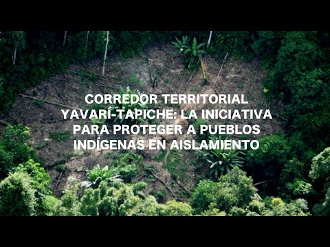 Corredor Territorial Yavarí-Tapiche: la iniciativa para proteger a pueblos indígenas en aislamiento