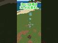 【試すなら今しかない】マイクラの裏技・バグ技・豆知識 #マイクラ #マインクラフト #minecraft #shorts