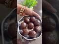Healthy laddu 5|Raagi Laddu |Ragi pindi laddu in Telugu|Finger Millet Flour Laddu #laddu #food#viral