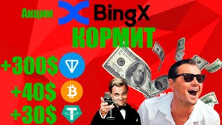 BingX КОРМИТ! | Акции с TON,BTC,USDT | Как заработать на Эирдропах