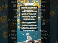 🐈😹♥️ Кошка и потерянное кольцо #котик #котики #кот #кошка #cat #funnycats
