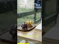 AI Utopia or Dystopia? Life 3.0 Future Scenarios | Part 4