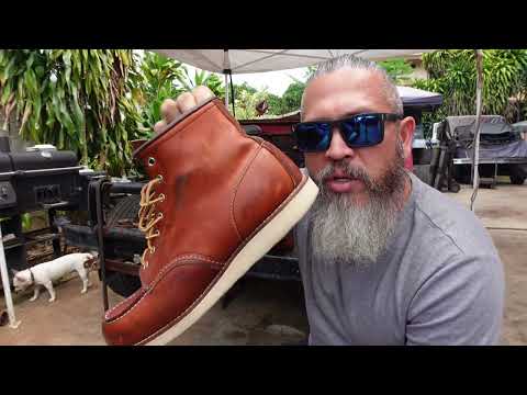 Grease Monkey Reviews