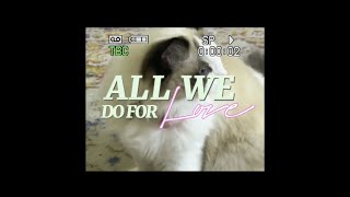All We Do For Love (Kauai45 Cover)