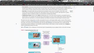 ACC 102 CHAPTER 2 JOB ORDER COSTING: PART 1