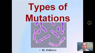 Types of Mutations