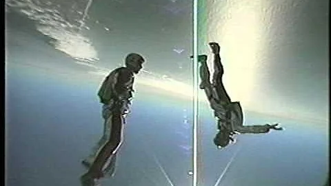 Angie Everhart Flies