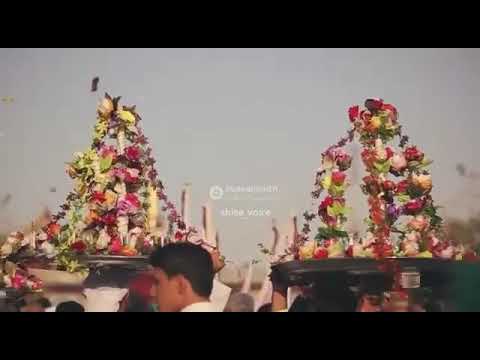 تمنيت يابني عريس والشيبان يزفونك