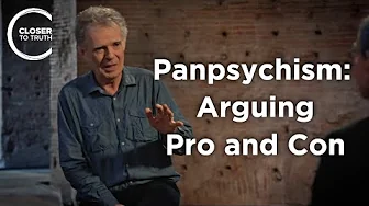 Galen Strawson - Panpsychism: Arguing Pro and Con