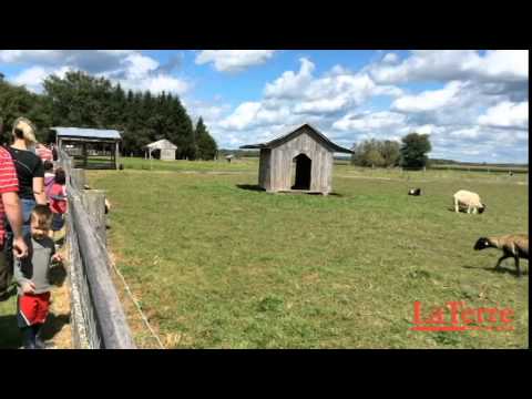 Ferme La Rabouillère - Portes ouvertes sur les fermes du Québec