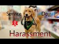 Service Dog Harassment Compilation.
