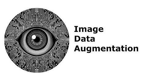 Image Data Augmentation
