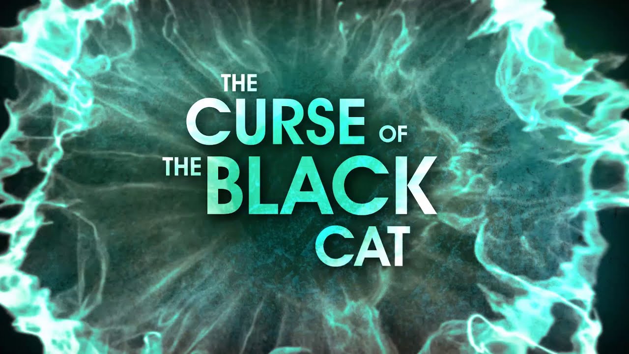 Black Cat MOD APK cover