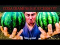 La Mini-Anguria coltivata in mezzo al Melone Retato